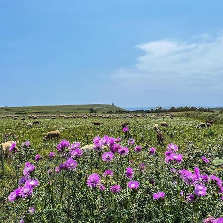 Casetta Degli Ulivi อุจจาโน ลาเคียซา ภายนอก รูปภาพ