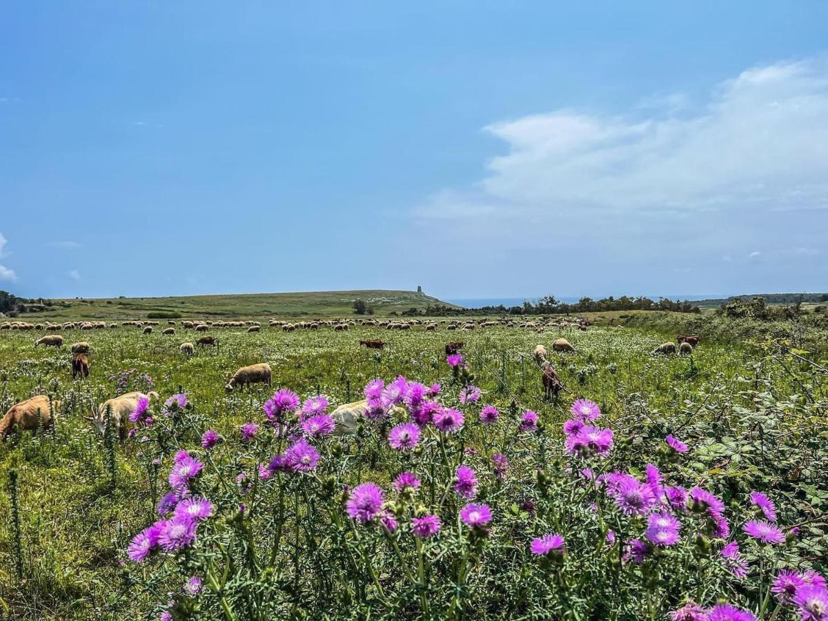 Casetta Degli Ulivi อุจจาโน ลาเคียซา ภายนอก รูปภาพ